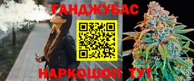 гашик Аргун