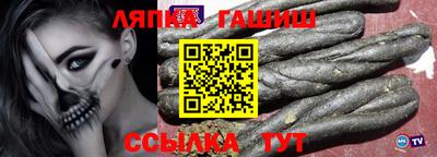 гашик Аргун