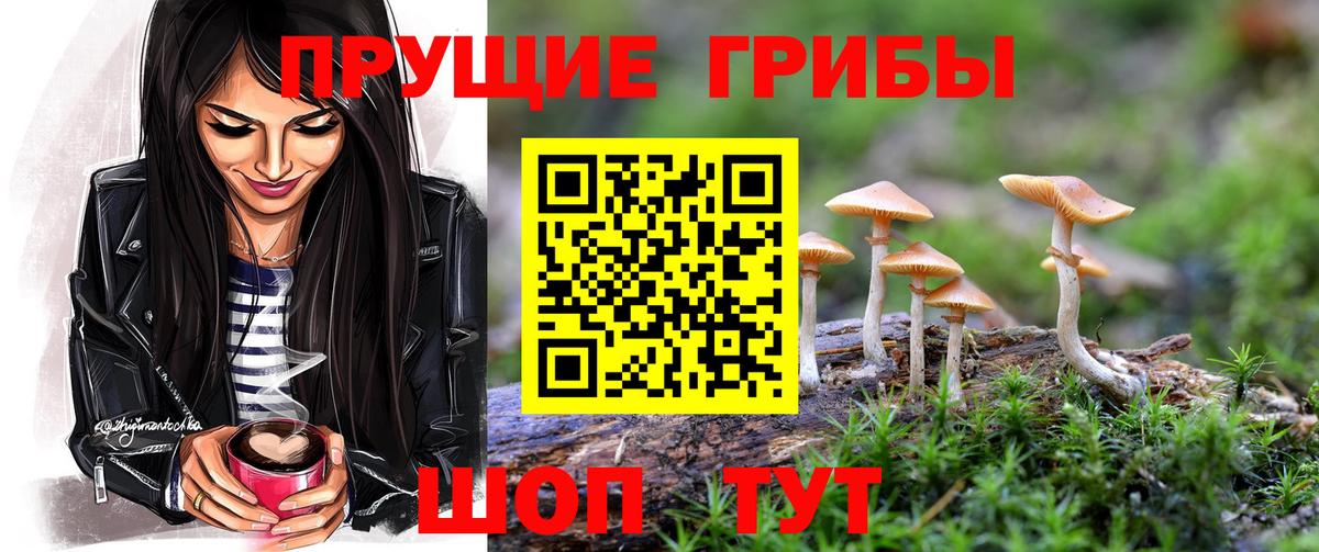 Галлюциногенные грибы Cubensis  наркота  Североуральск 